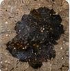 Aceites