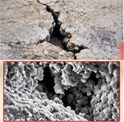 Sin tratar