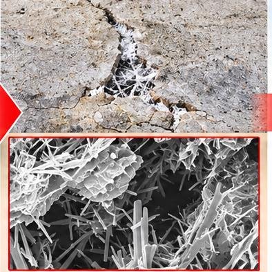 Cristales en desarrollo